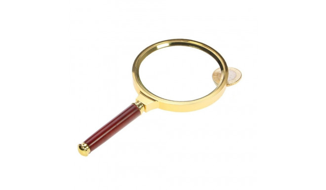 SAFE Luup Gold Edition - 3x