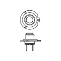 Bosch ECO H7 12V 55W