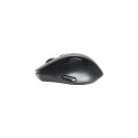 Inter-Tech M-230 mouse Office Right-hand RF Wireless Optical 1600 DPI