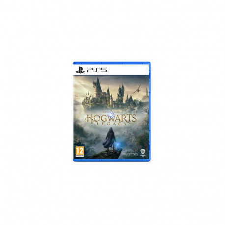 Sony Hogwarts Legacy Standard PlayStation 5
