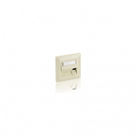 Equip 3-Port German Faceplate, Pearl White