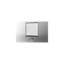 Celexon Economy projection screen 1:1