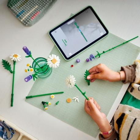 Klocki botanicals 11508 karikakrad