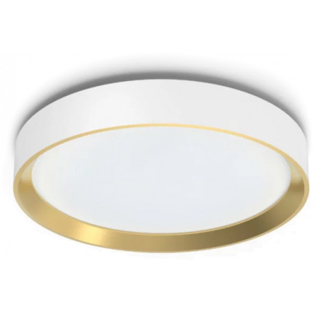 Philips ceiling light Hanno LED 24W 2700K