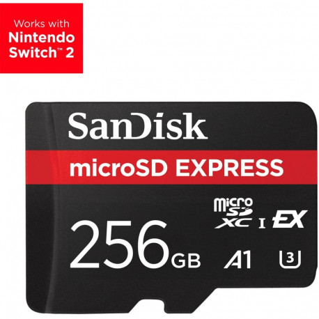 MEMORY MICRO SDXC 256GB UHS-I/SDSQXFN-256G-GN4NN SANDISK