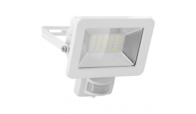 Goobay LED Outdoor Floodlight, 30 W, with Motion Sensor