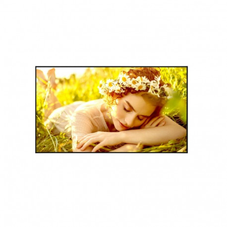 Monitor 55UL5Q-E 500cd/m2 UHD 24/7