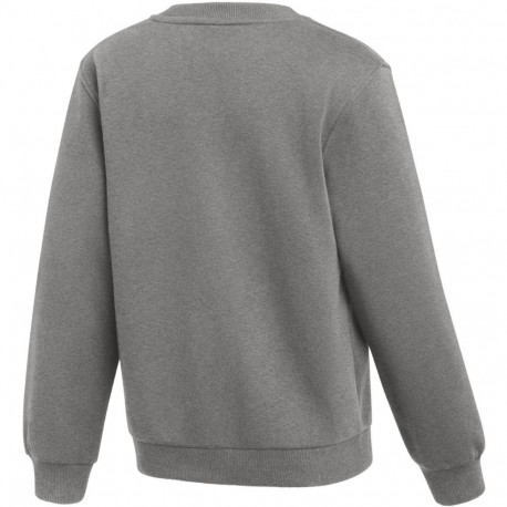 Nike laste pusa Park 26 Fleece Crew IB1188 063 L, hall
