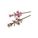 Bricks Botanicals 40725 Cherry Blossoms