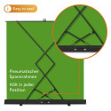 Walimex pro roll-up paneel taust 210x220cm roheline