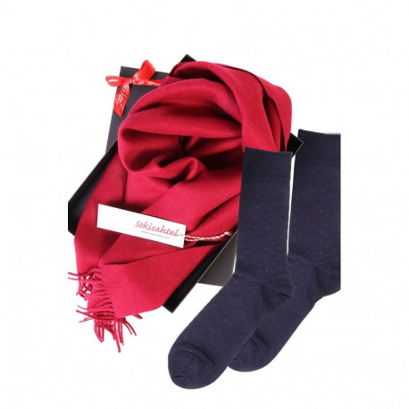 SOKISAHTEL Alpakavillast salli ja VEIKO sokkidega kinkekarp meestele 446