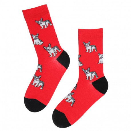 SOKISAHTEL DOGGY punased koertega puuvillased sokid 446