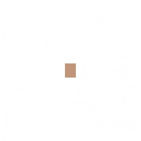 Shiseido Sun Protection Tanning Compact Foundation (12ml) (Bronze)