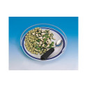 Transparent plate cover 25 - 28 cm