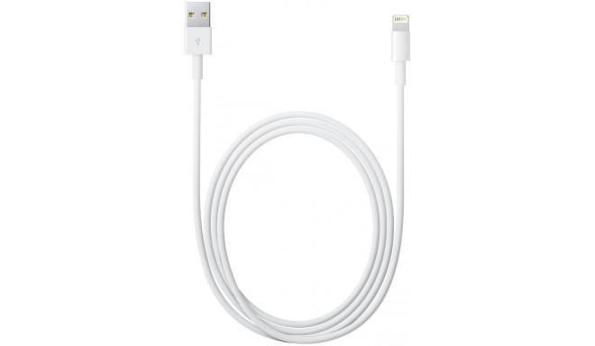 Apple cable Lightning - USB 1m