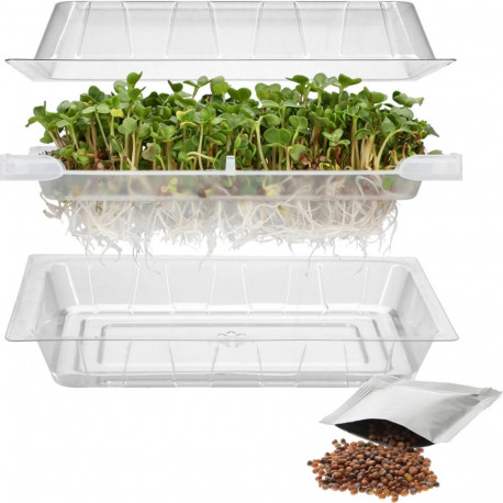 Bioogrod idandusalus redise seemnetega 745748, 18.5cm, 12.5cm, 6cm, 74g, plastik