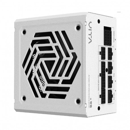 FSP VITA 850 GM Modular power supply unit 850W