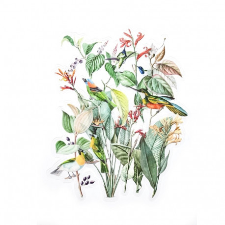 Läbipaistvad kleebised – Eksootiline aed 12tk