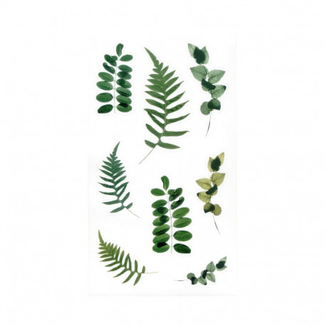 Läbipaistvad kleebised – Sõnajalad ja eukalüptus 38tk