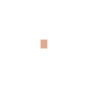 Shiseido UV Protective Compact Foundation (12ml) (Medium Beige)