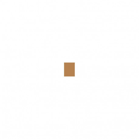 Shiseido Revitalessence Skin Glow Foundation (30ml) (420 Bronze)