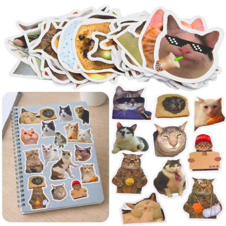 komplekt kleebised kassid meemid dekoratiivsed erinevad motiivid 50 tk 7-8 cm