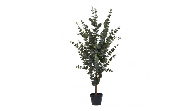 Kunstpuu EUCALYPTUS H120cm, roheline