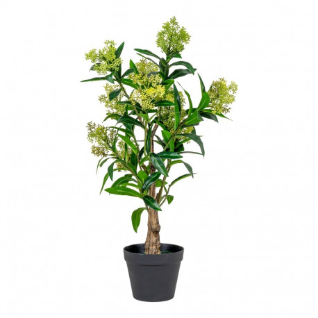 Kunsttaim SKIMMIA H75 cm, roheline