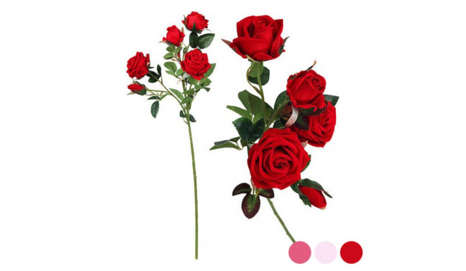 5 Roosi Vars