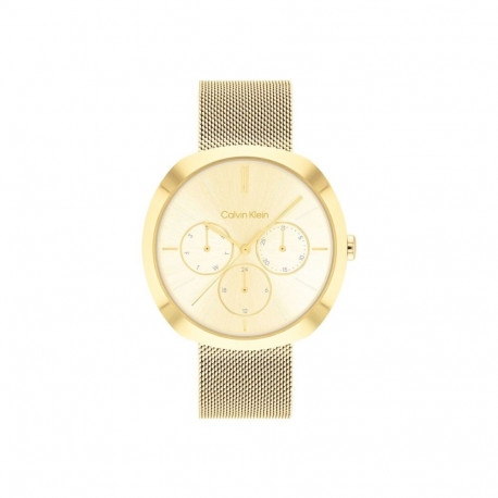 Ladies' Watch Calvin Klein 25200339