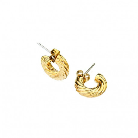 Ladies' Earrings Chiara Ferragni J19AXP12