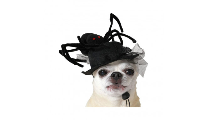 Dog Costume Black Hat