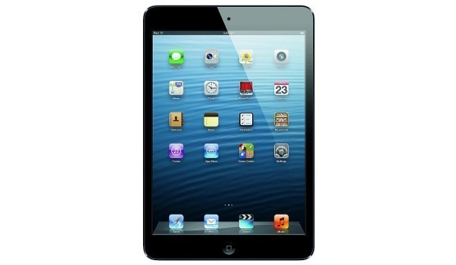 Apple iPad mini 32GB WiFi + 4G A1455 black/grey