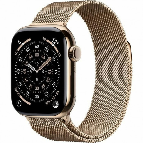Smartwatch Apple Titanium