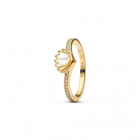 Ladies' Ring Pandora 163654C01-52 Golden