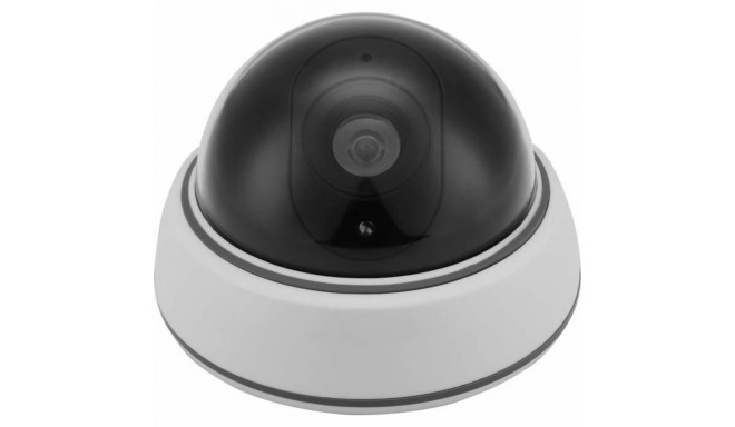 Simulated security camera LINK2HOME