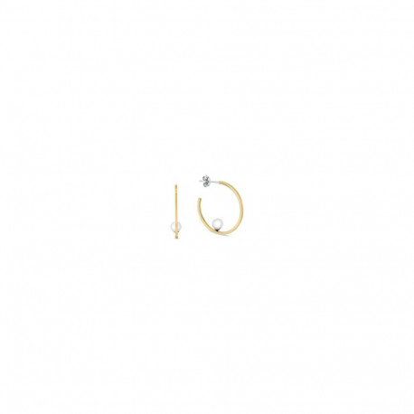 Naiste Kõrvarõngad Tommy Hilfiger 2780964 3 cm