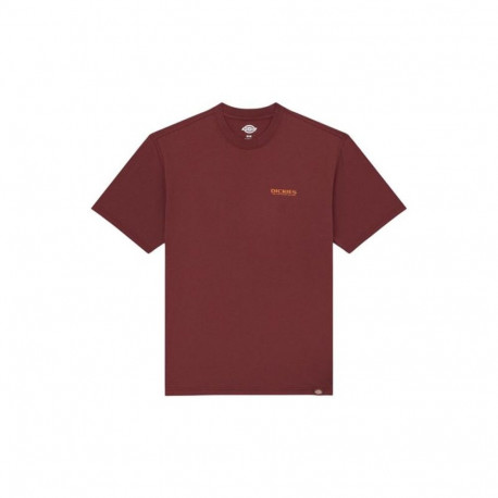 Lühikeste varrukatega T-särk, meeste Dickies Burns Pruun - L