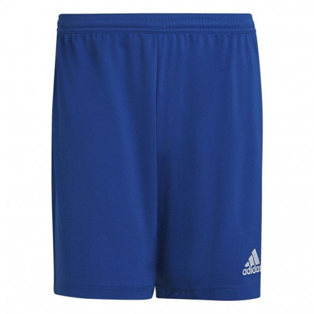 Football Training Trousers for Adults Adidas Ent22 Blue