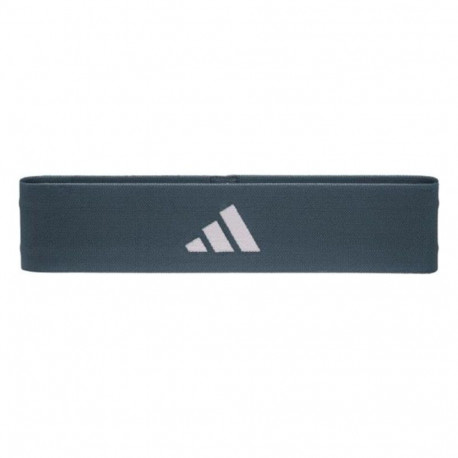 Elastsed Vastpanirihmad Adidas ADTB-10705BL-NL Tumesinine