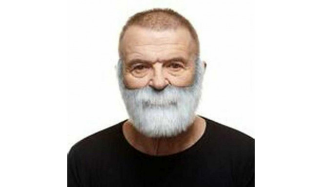 False beard My Other Me Grey