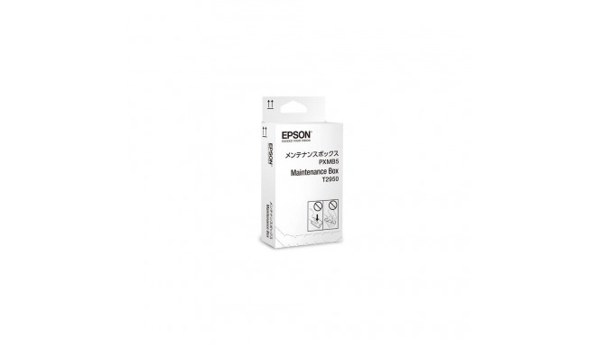 Epson WorkForce WF-100W Series Maintenance Box