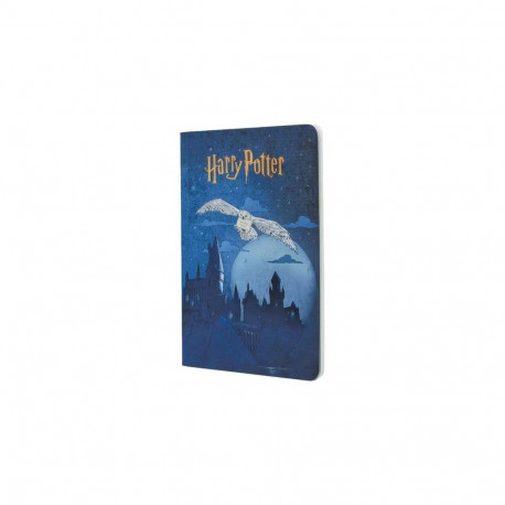 Kaustik Paperblanks Harry Potter Collection Escape to Hogwarts A5 ruuduline