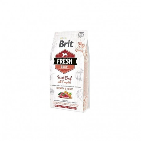BRIT FRESH veiseliha kõrvitsaga kutsikas suur