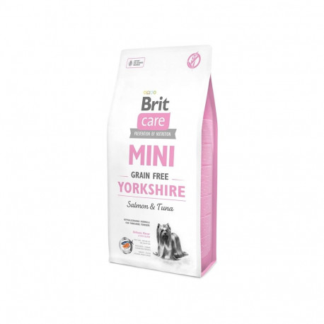 BRIT CARE MINI yorkshire
