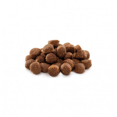 DOG FOOD PREMIUM ADULT MEDIUM