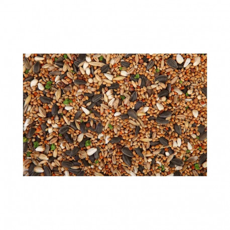 MEDIUM SIZED PARROT FOOD 1 L/650 G