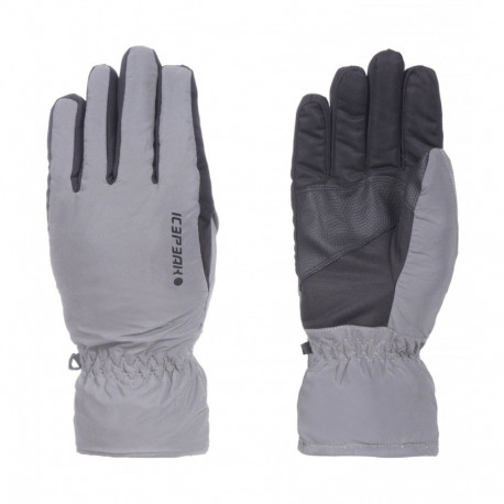 Talvekindad Icepeak Hubbell JR hõbedane - L