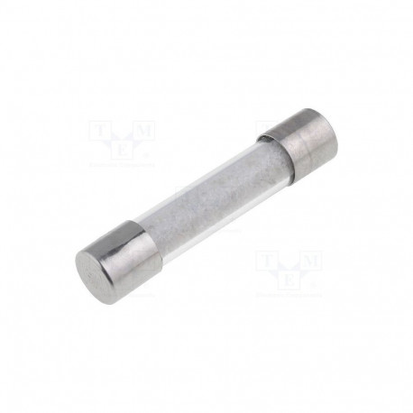 Eska kaitse ZGT-10A 10A;250V AC