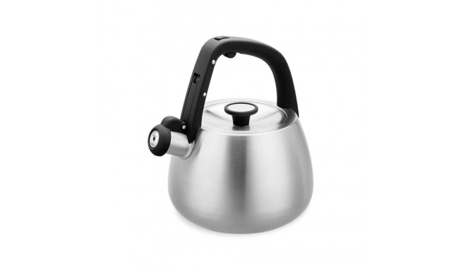 Here are the details and conversions for a 2.5-liter kettle:
Capacity Co